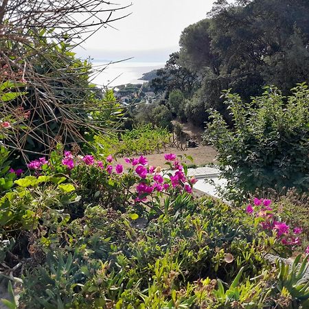 Villa Gualdo Piscina Vista Mare Capoliveri (Isola d'Elba) Exterior foto